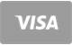 Visa card payment accepted at Surge Casino